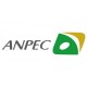 Anpec